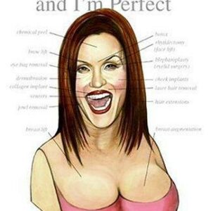 Everything About Me Is Fake . . . And I'm Perfect