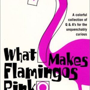 What Makes Flamingos Pink?