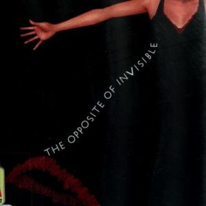 The Opposite of Invisible