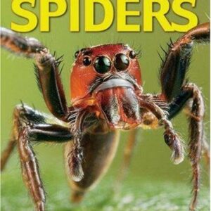 Nic Bishop: Spiders