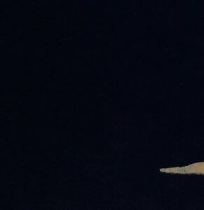 Drink and Sobriety in Victorian Wales, 1820-1895