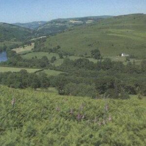 Geological Excursions in Powys