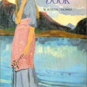 The Welsh Fairy Book