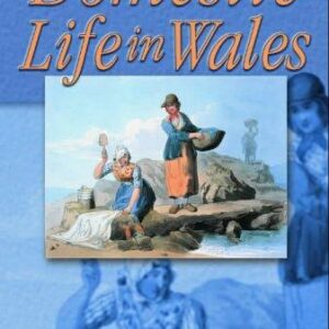 Domestic Life in Wales