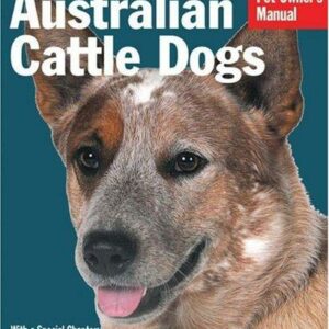 Australian Cattle Dogs