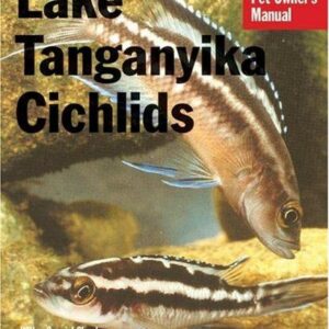 Lake Tanganyika Cichlids