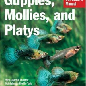 Guppies, Mollies, and Platys
