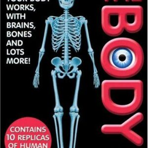 The Body Box