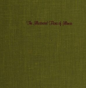 Flowering Plants: Willows to Mustards