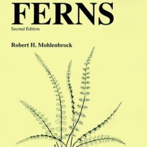 Ferns
