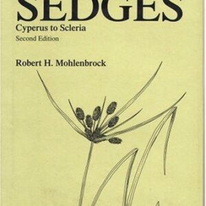 Sedges: Cyperus to Scleria