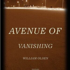 Avenue of Vanishing