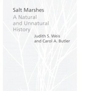 Salt Marshes
