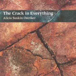 The Crack In Everything