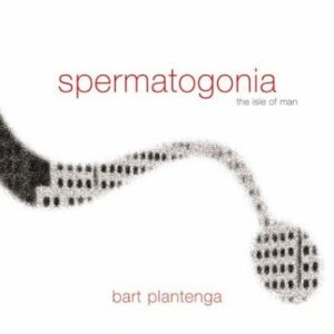 Spermatogonia