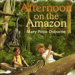Afternoon on the Amazon