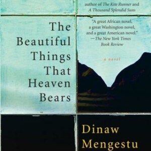 The Beautiful Things That Heaven Bears