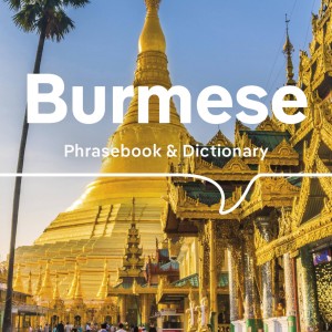 Lonely Planet Burmese Phrasebook & Dictionary book cover