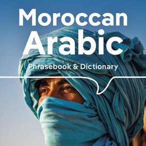 Lonely Planet Moroccan Arabic Phrasebook & Dictionary book cover