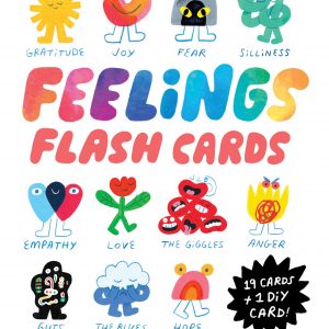 Invisible Things Feelings Flash Cards book cover