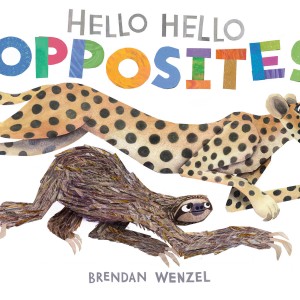 Hello Hello Opposites book cover