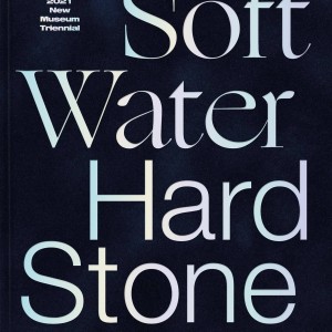Soft Water Hard Stone book cover