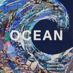 Ocean book cover