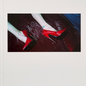 Steven Klein book cover