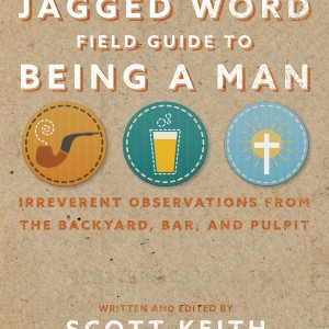 The Jagged Word Field Guide book cover