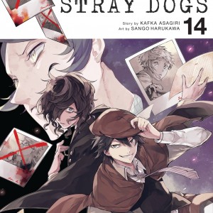 Bungo Stray Dogs, Vol. 14 book cover
