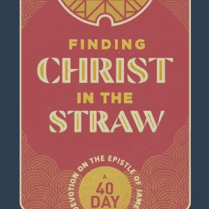 Finding Christ in the Straw book cover