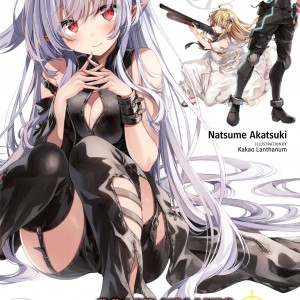 Combatants Will Be Dispatched!, Vol. 6 (light novel) book cover
