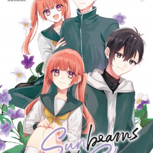 Sunbeams in the Sky, Vol. 3 book cover