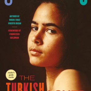 The Turkish Lover book cover