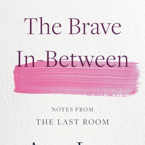 The Brave In-Between book cover