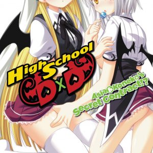 High School DxD: Asia & Koneko's Secret Contract!? book cover