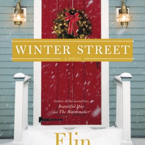 Winter Street book cover