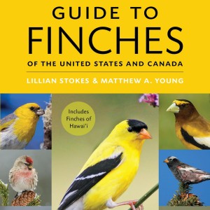 The Stokes Guide to Finches of the United States and Canada book cover
