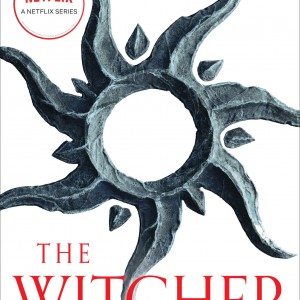 The Tower of Swallows book cover