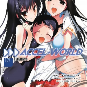 Accel World, Vol. 10 (light novel) book cover