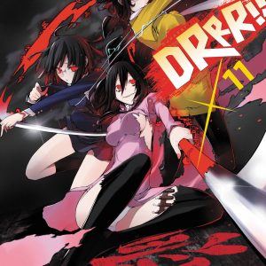 Durarara!!, Vol. 11 (light novel) book cover