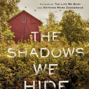 The Shadows We Hide book cover