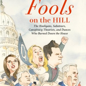 Fools on the Hill book cover