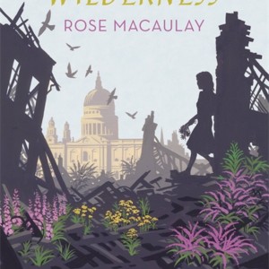 The World My Wilderness book cover