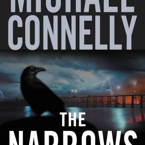 The Narrows book cover
