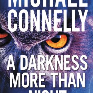 A Darkness More Than Night book cover