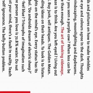 The Art of Looking Sideways book cover