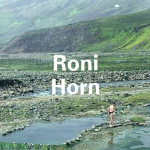Roni Horn book cover