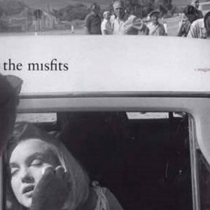 The Misfits book cover
