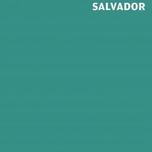 Wallpaper* City Guide Salvador book cover